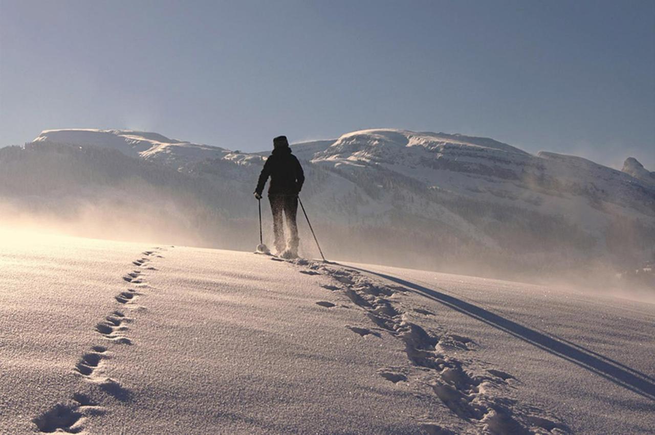 Das Grasberghaus Екстериор снимка